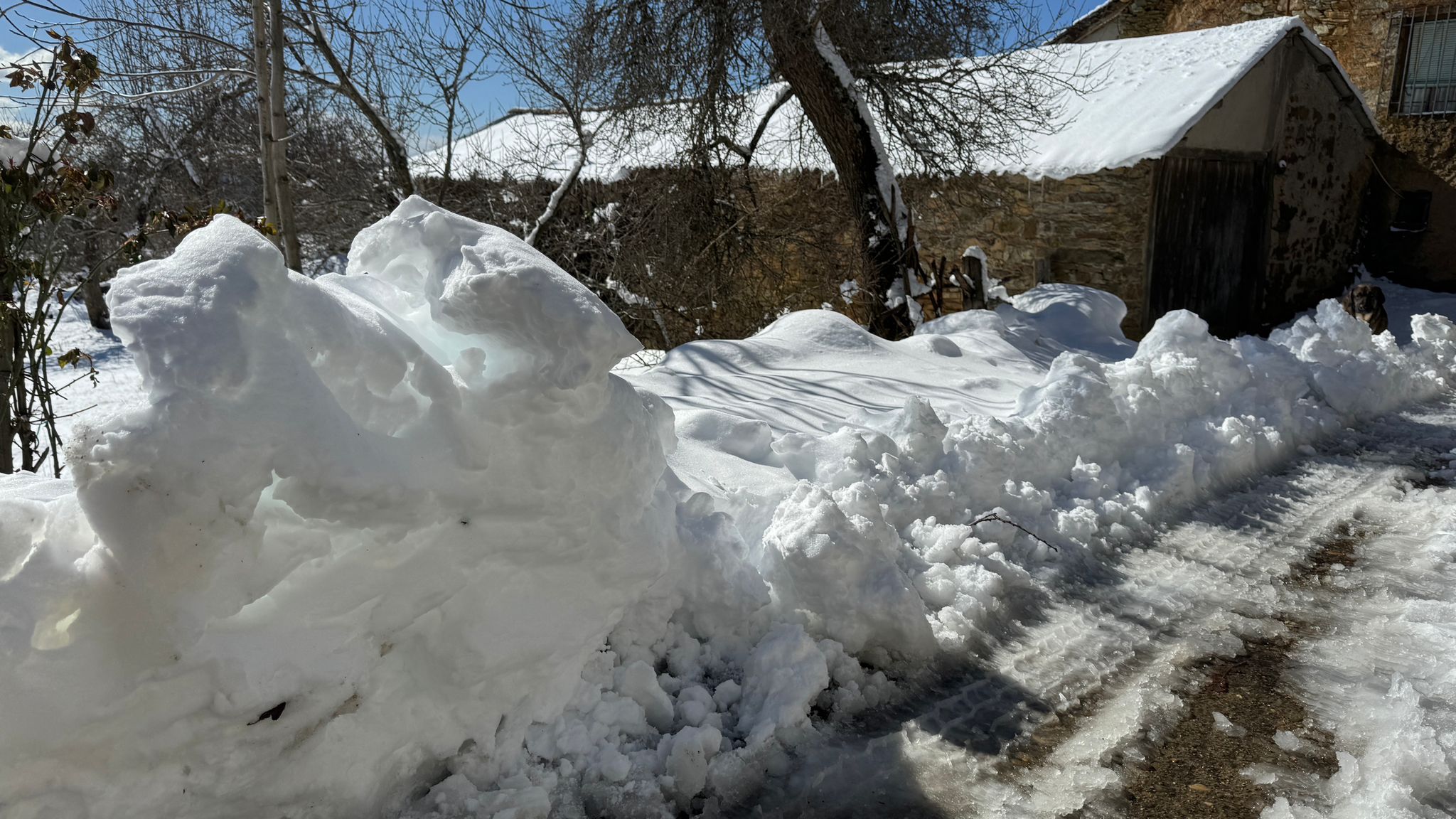 Llega la nieve a la localidad de Andarraso.