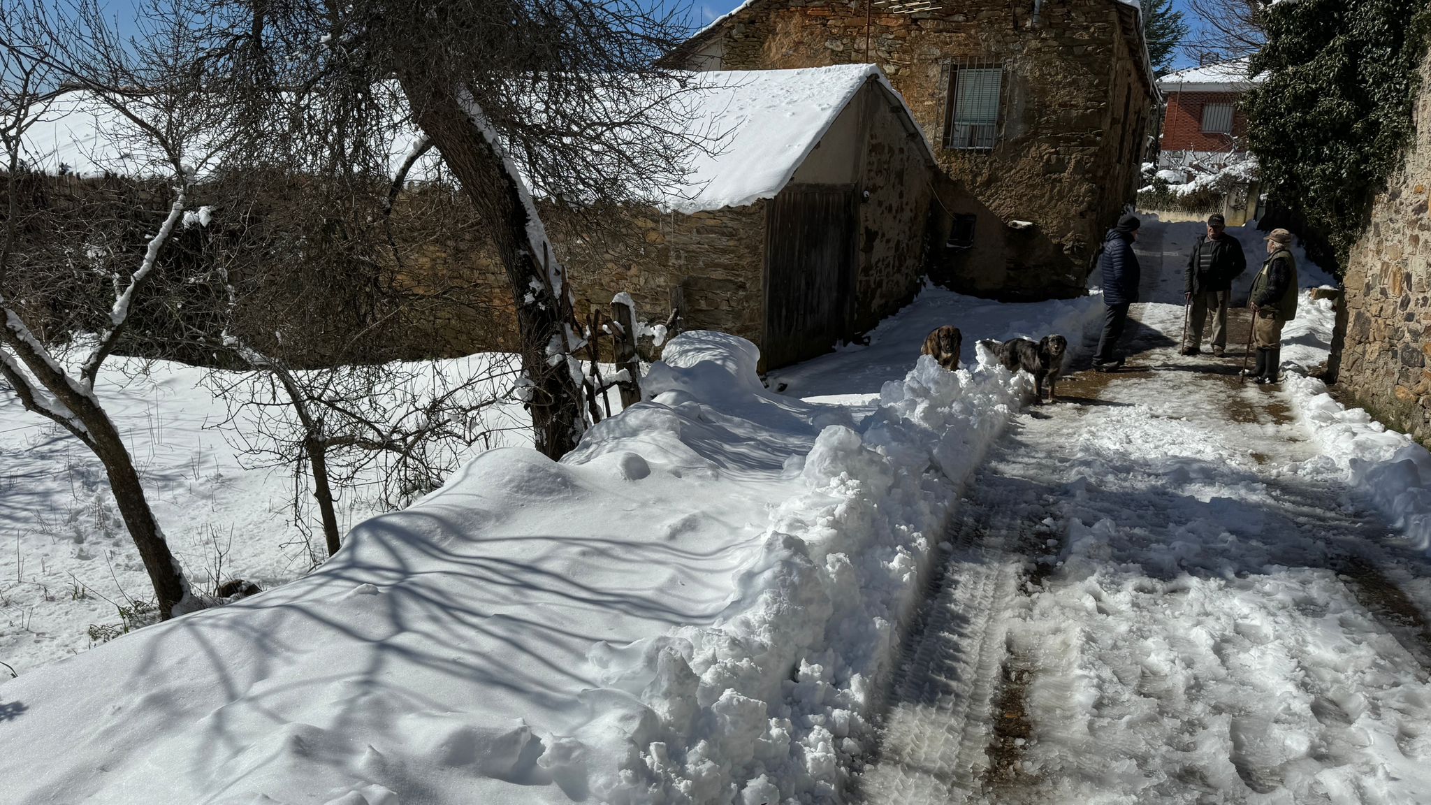 Llega la nieve a la localidad de Andarraso.