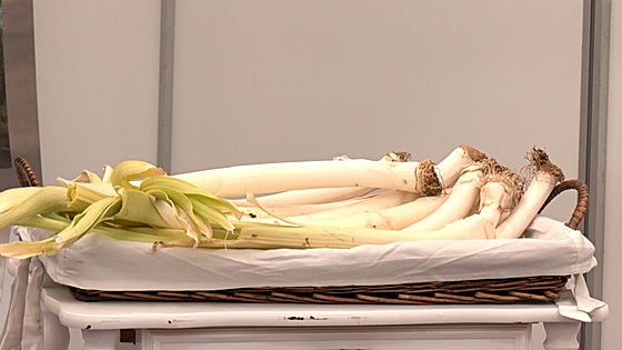 Sahagún, un tesoro con mucho con ofrecer