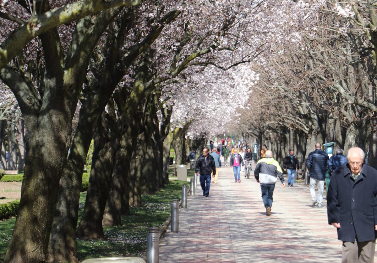 Imagen del paseo de la Condesa, el miércoles 13 de marzo, a medio día.