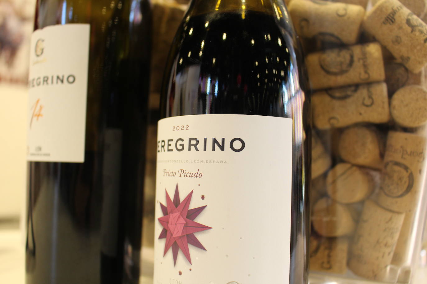 Vinos y sangría de la Bodega Gordonzello