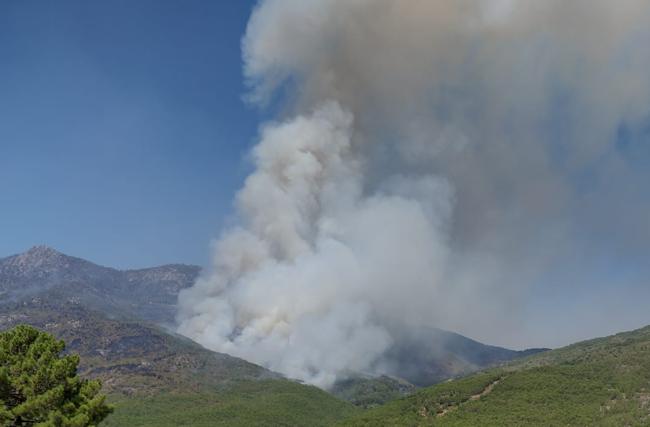 Uno de los incendios producidos en el verano pasado.