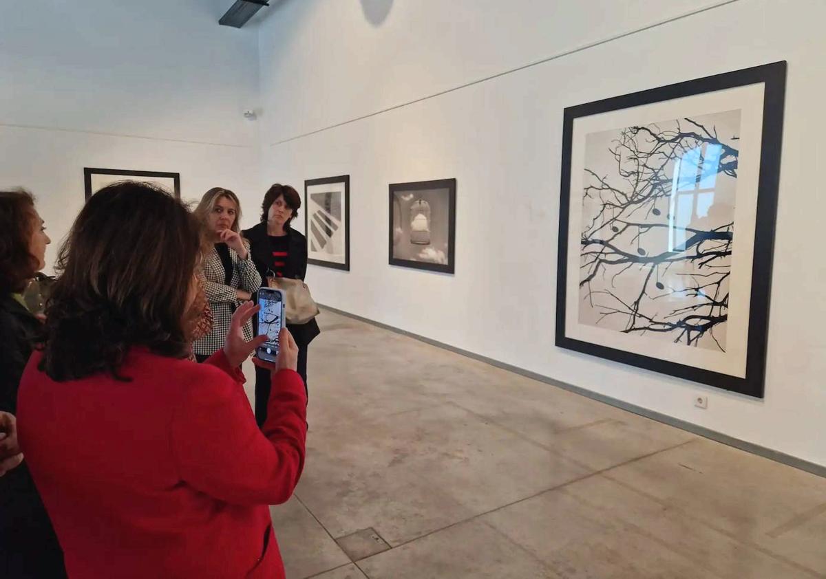 Imagen secundaria 1 - Exposciones que han tenido lugar en El Palacín.