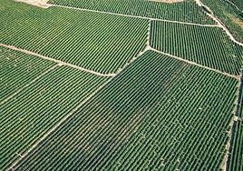 Asaja lamenta que la Diputación haya dejado de prestar ayuda para el análisis de tierras