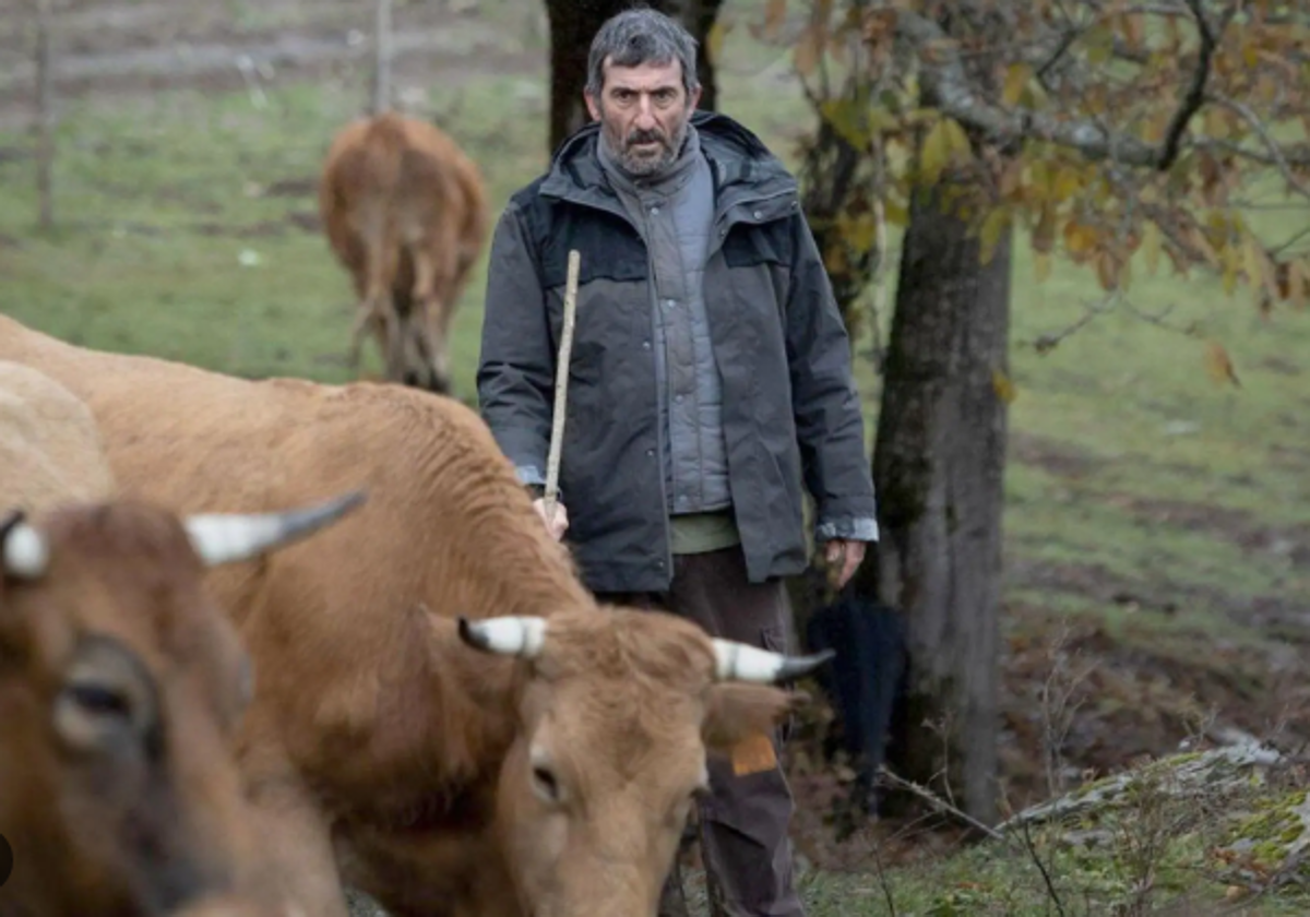 Fotograma de la película 'As Bestas', que fue grabada íntegramente en El Bierzo.