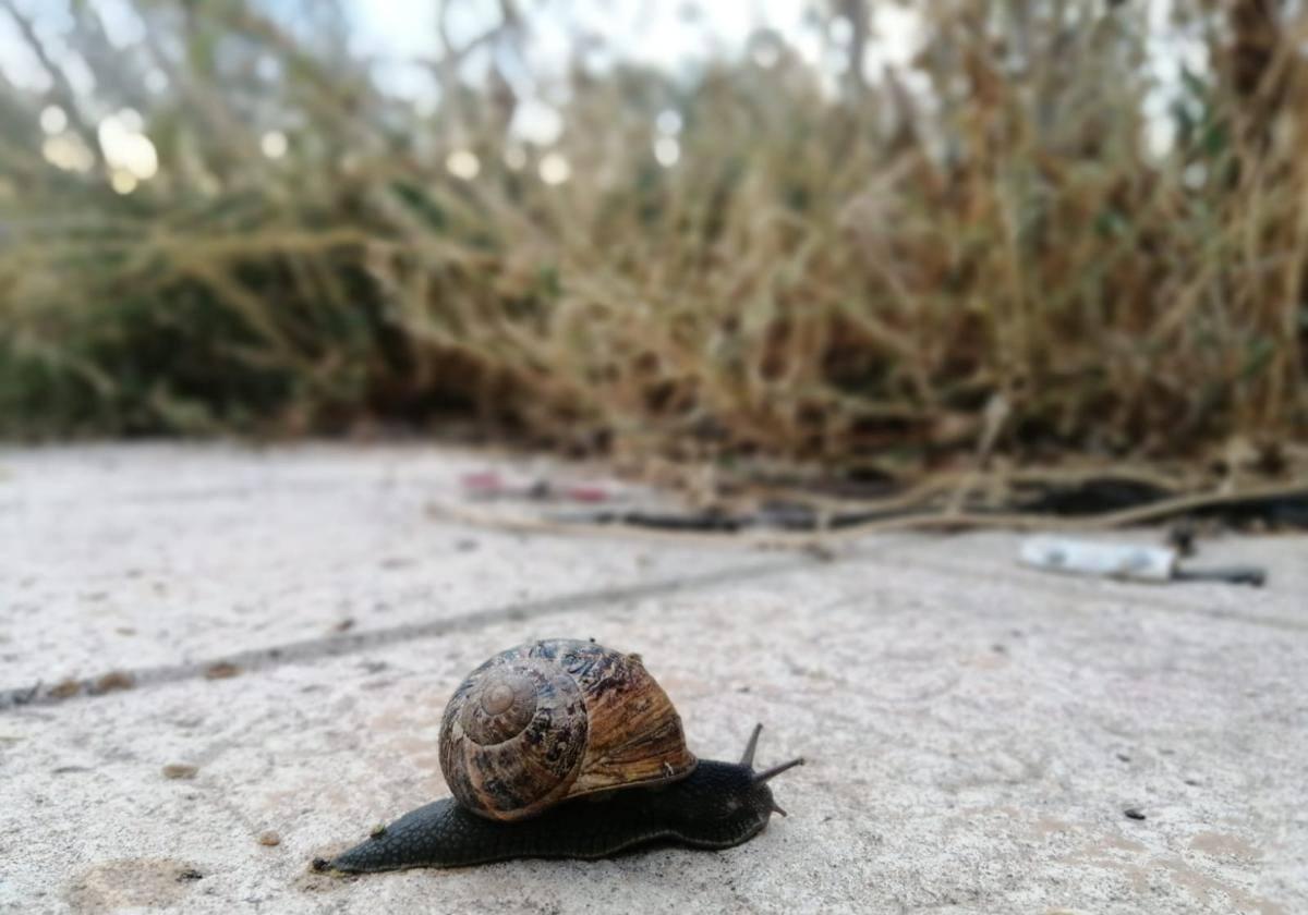 El tiempo en León: lluvia y temperaturas agradables