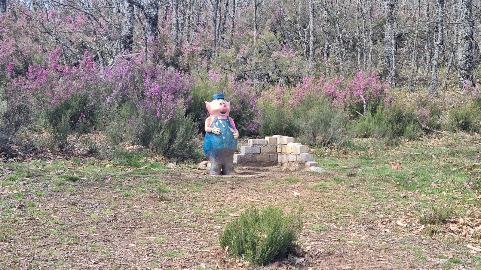 El jardín con enanitos de Almanza