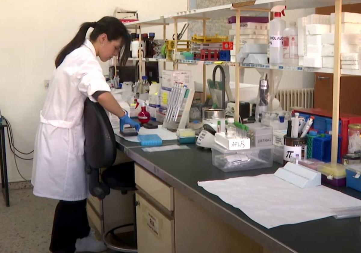 Estudiantes de la ULE mantienen dedicación exclusiva al desarrollo de su tesis doctoral.
