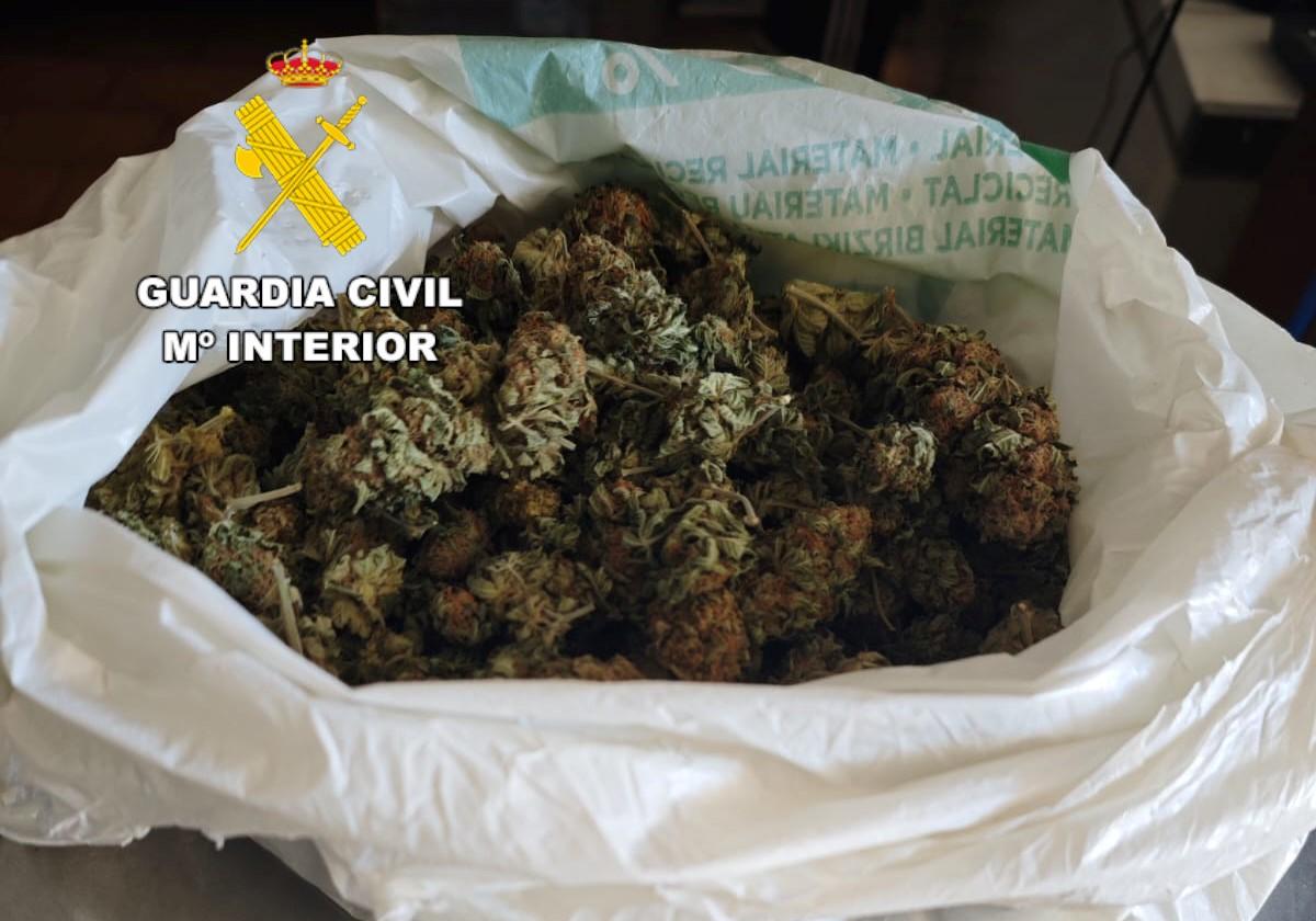 Marihuana intervenida en esta operación.