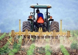 Asaja pide elevar por encima de 250.000 euros la facturación máxima en los módulos fiscales agrícolas y ganaderos