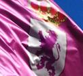 Bandera que utiliza la Junta
