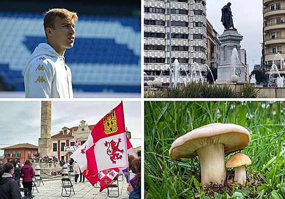 Las noticias del día.