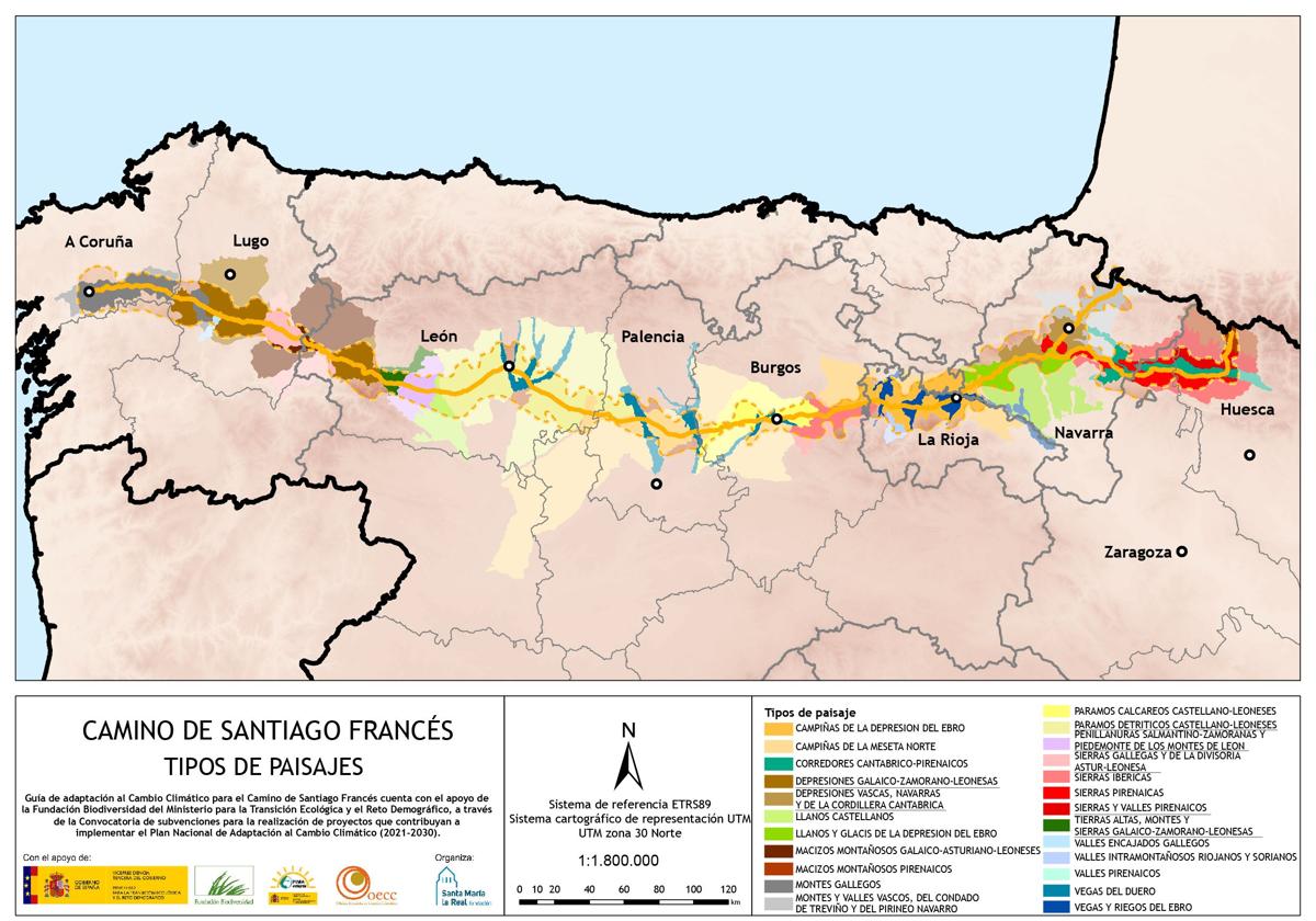 Imagen del mapa realizado tras el estudio.