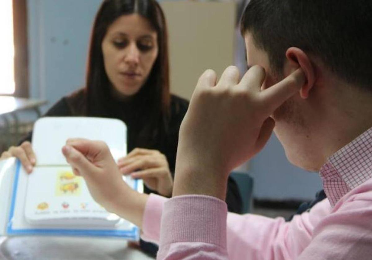 El alumnado con autismo asciende en Castilla y León a 1.857 estudiantes