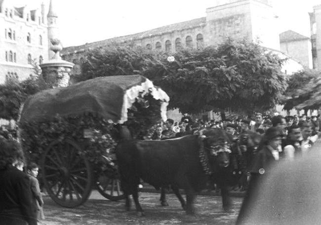 Carros engalanados.