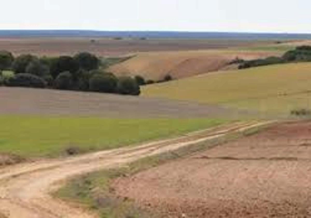 Imagen de archivo de campos de Tierra de Campos.