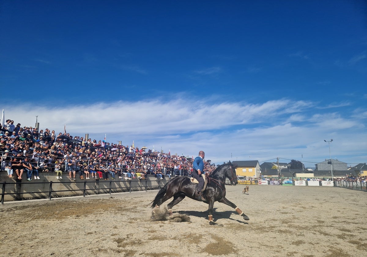 La Feria del Caballo de Camponaraya volvió a ser punto de interés comarcal