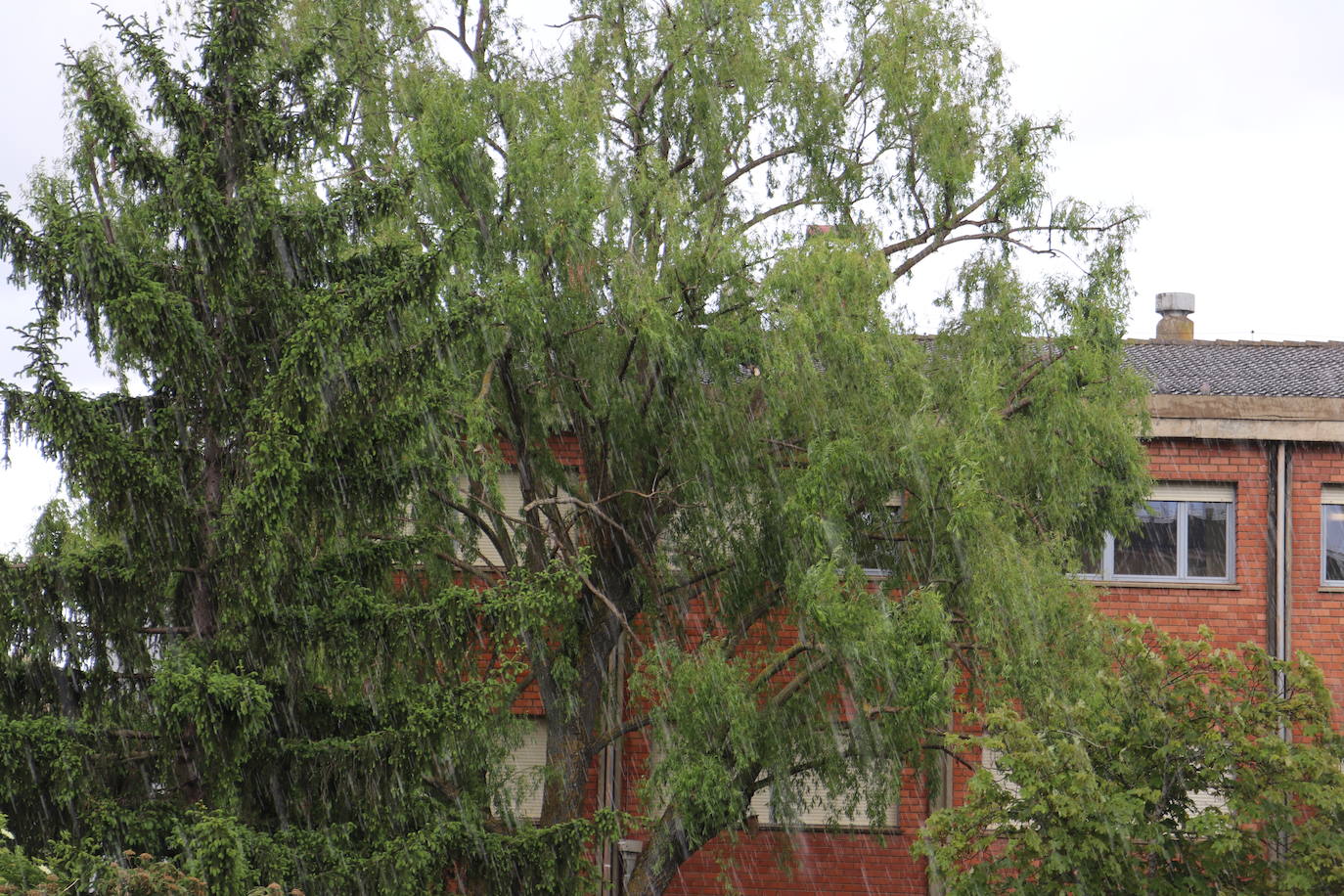 El granizo en mayo sorprende a León