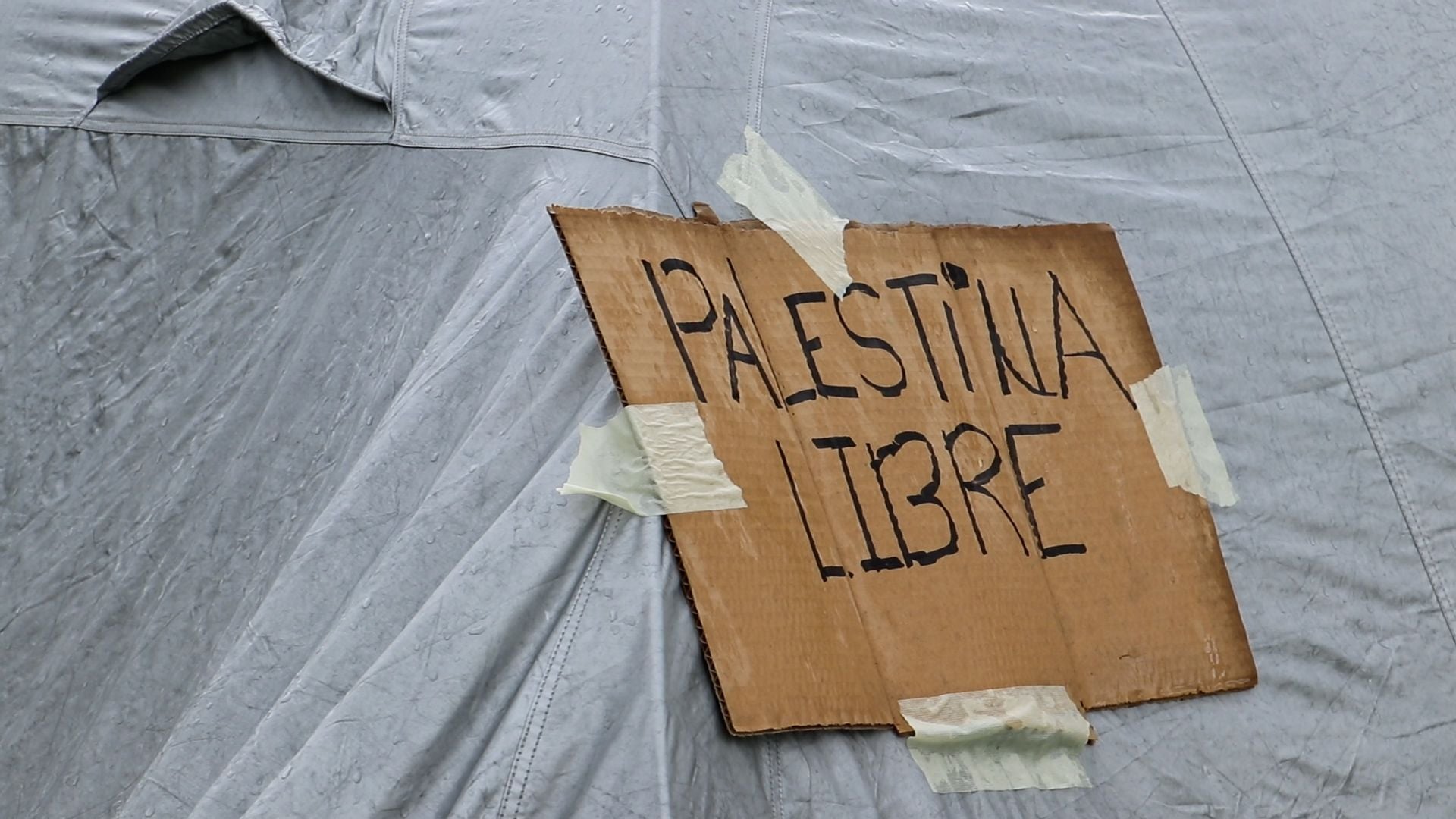 Acampada en el campus universitario por Palestina
