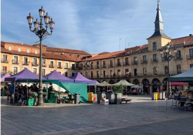 Mercado en la Plaza Mayor de León.