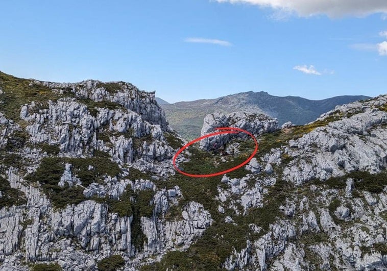 Vídeo de la intervención realizada en la Sierra de la Serrona.