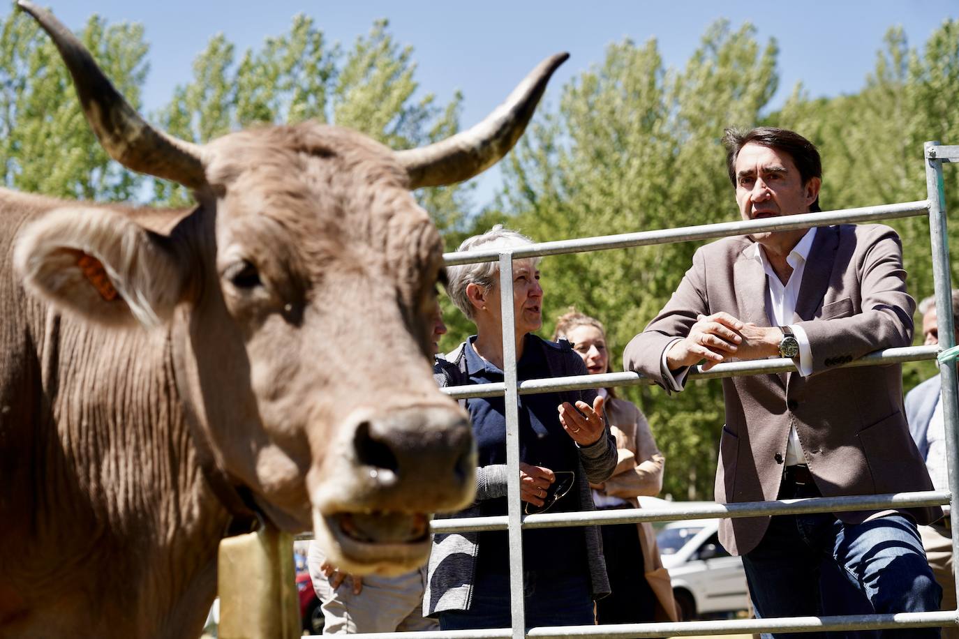 Crémenes recupera su feria décadas después