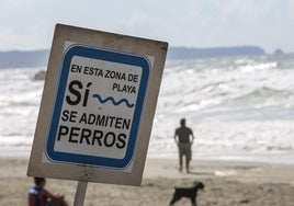 Un cartel en la playa que informa de que sí se admiten perros.