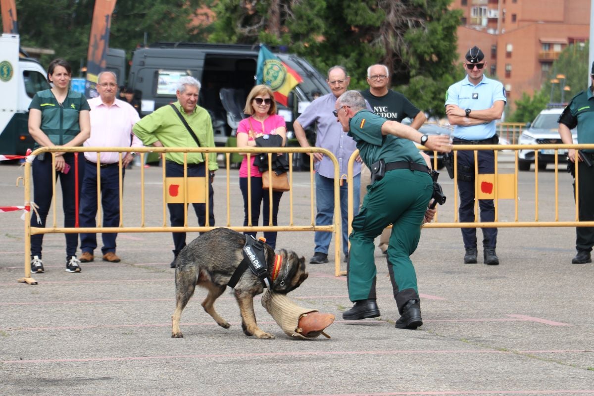 Las Fuerzas Armadas se exhiben en León