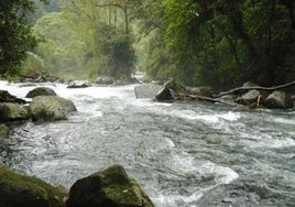 Imagen de archivo de un río de la provincia.