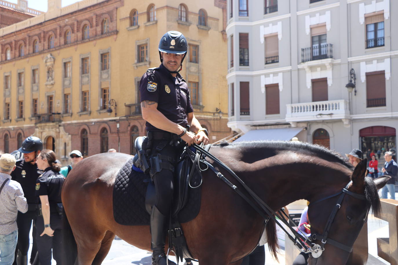 Los caballos de la Policía Nacional se pasean por León