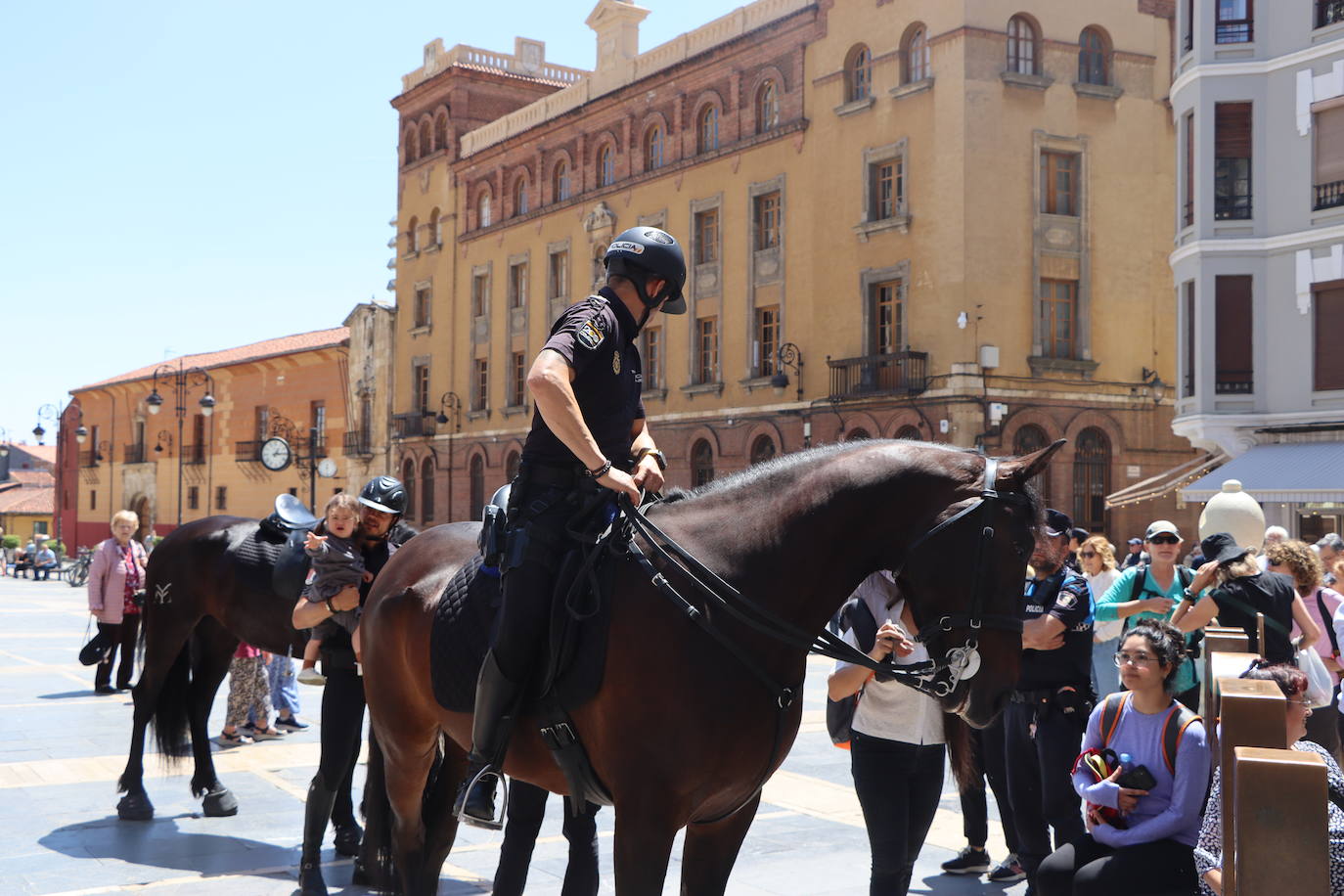 Los caballos de la Policía Nacional se pasean por León