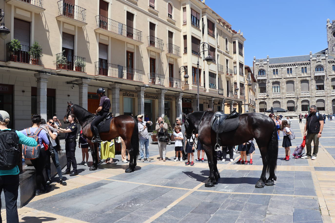 Los caballos de la Policía Nacional se pasean por León