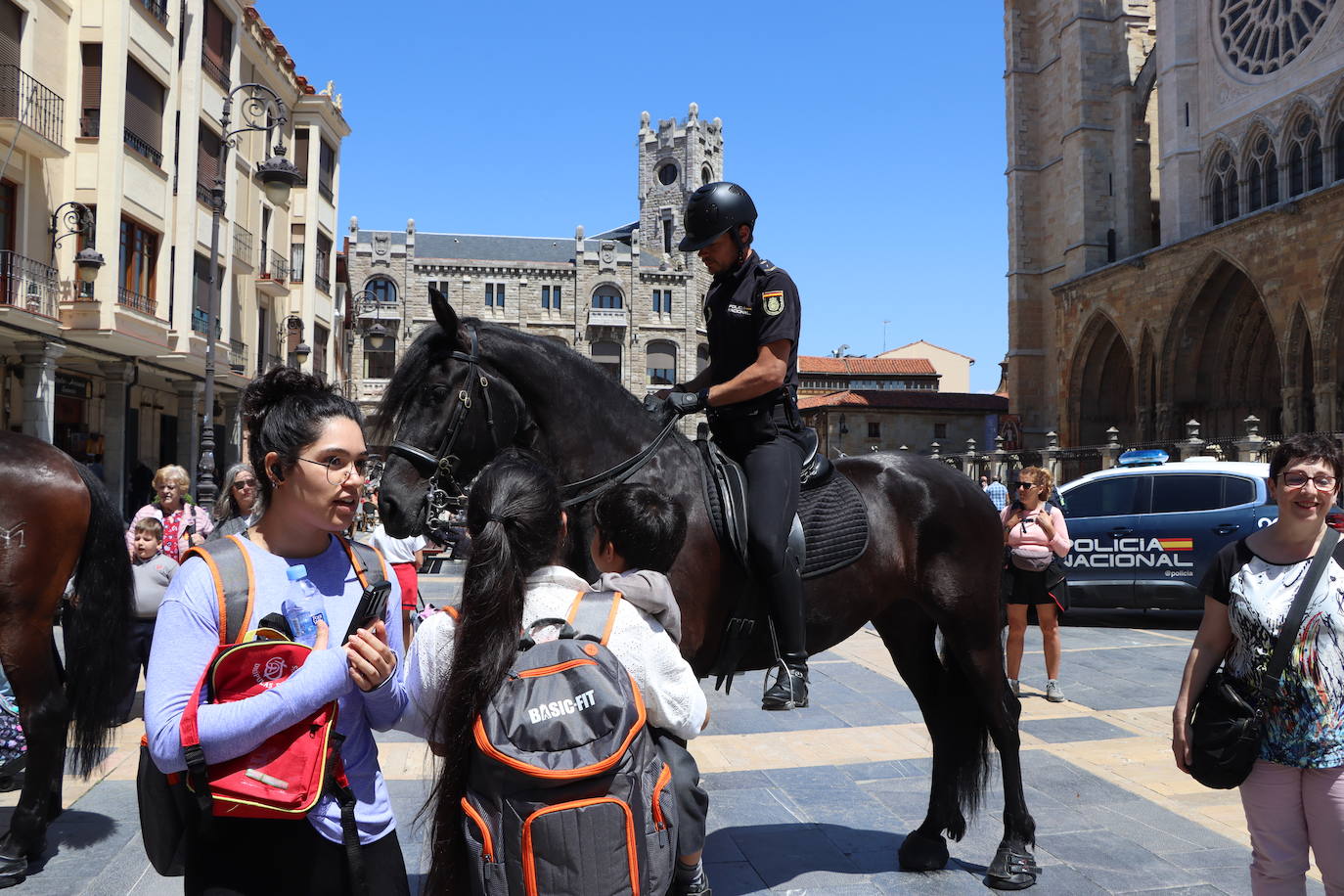 Los caballos de la Policía Nacional se pasean por León