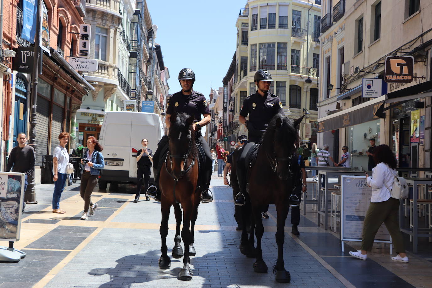 Los caballos de la Policía Nacional se pasean por León