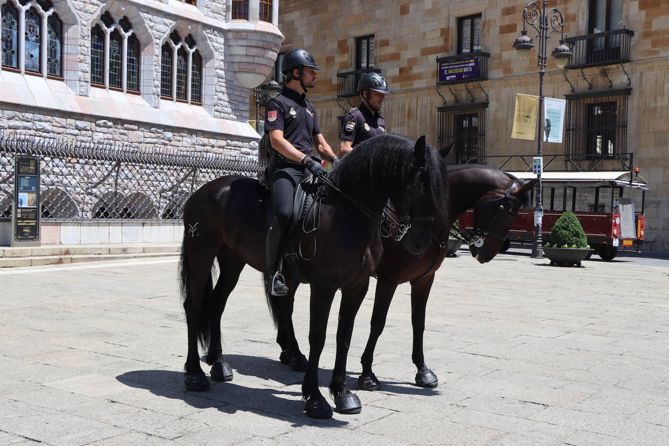 Los caballos de la Policía Nacional se pasean por León