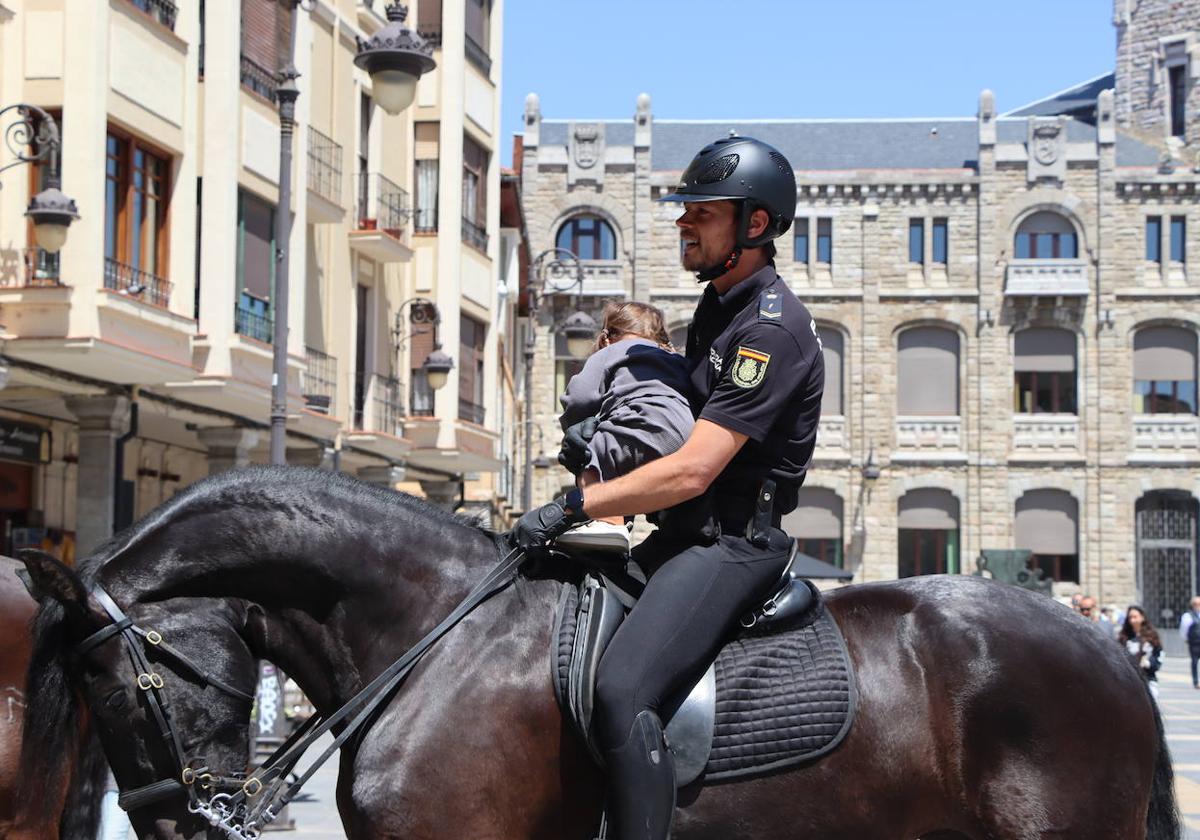 Los caballos de la Policía Nacional se pasean por León