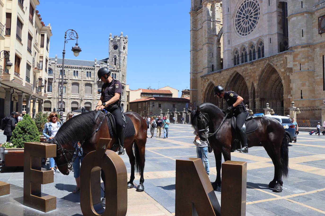 Los caballos de la Policía Nacional se pasean por León