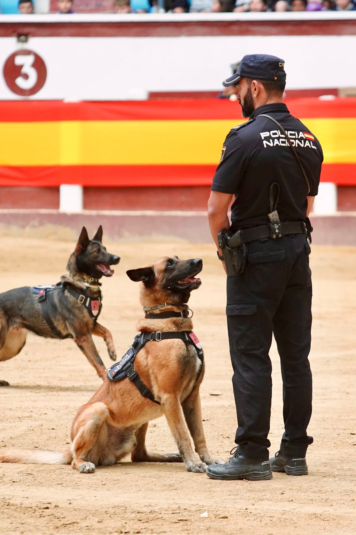 Exhibición de las diferentes unidades de la Policía Nacional en León