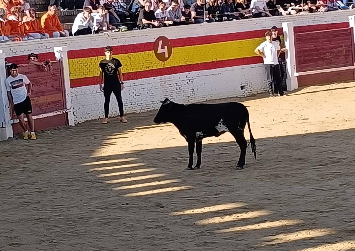 Imagen secundaria 1 - La localidad de Sahagún en fiestas