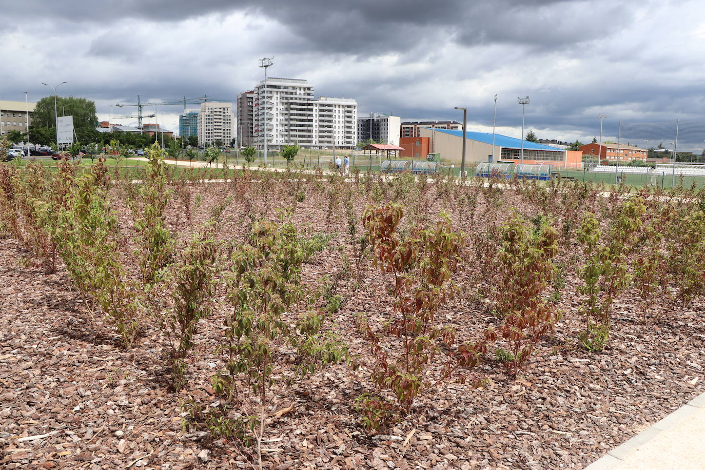 Nuevo parque para la ciudad de León