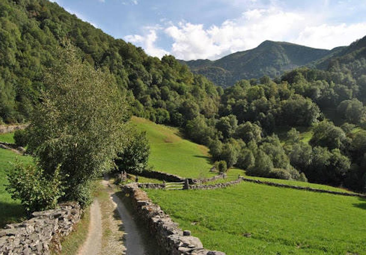 Reserva de la Biosfera Valle de Laciana.