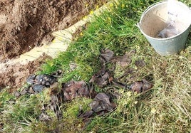 Restos de calzado y telas en el paraje de Matamala de Sena de Luna.