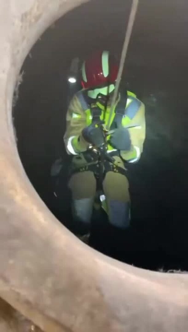 Así fue el rescate de un gato por los Bomberos de León