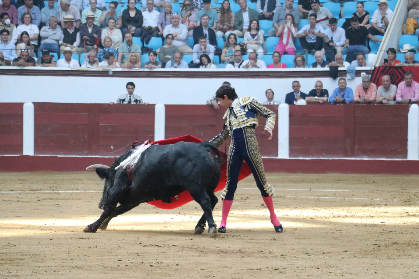 Las mejores imágenes de los toros