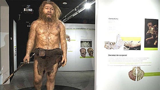 Una investigadora de la ULE demuestra que hubo neandertales con síndrome de Down