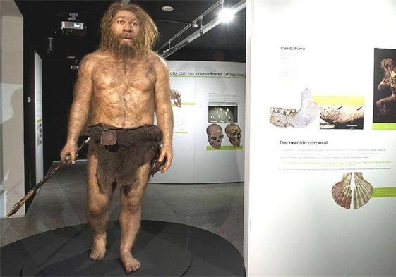 Una investigadora de la ULE demuestra que hubo neandertales con síndrome de Down