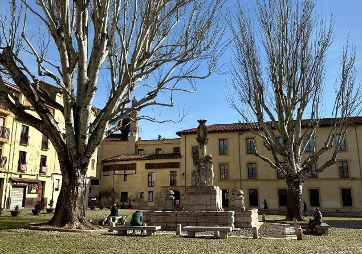 Plaza del Grano de León.