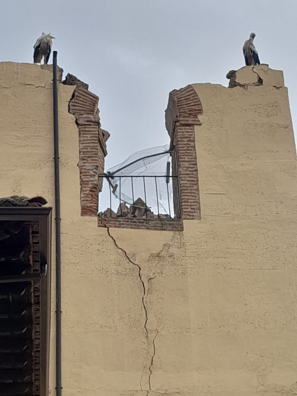 Imagen de la cigüeña esperando encontrar sus polluelos.