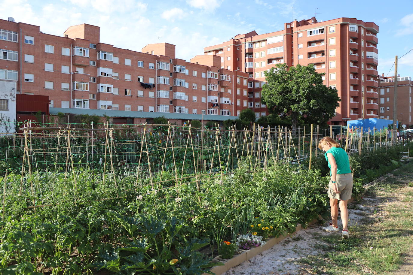 Visita a los huertos urbanos de San Andrés