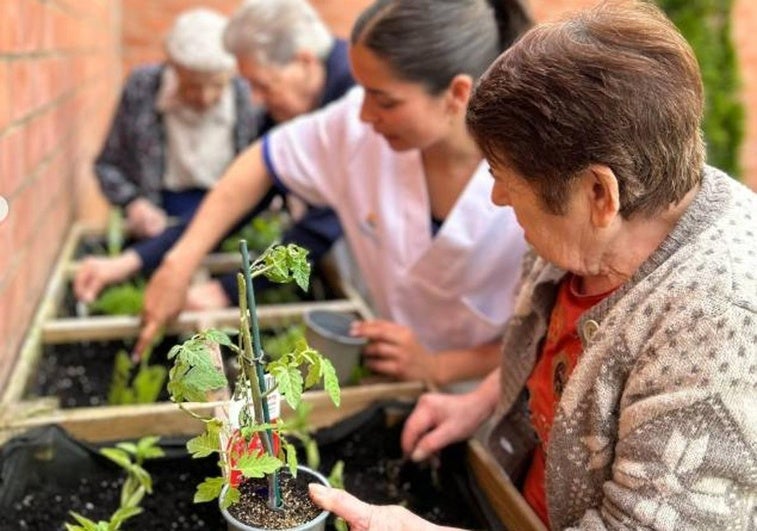 Actividad del huerto en el Centro Buendía